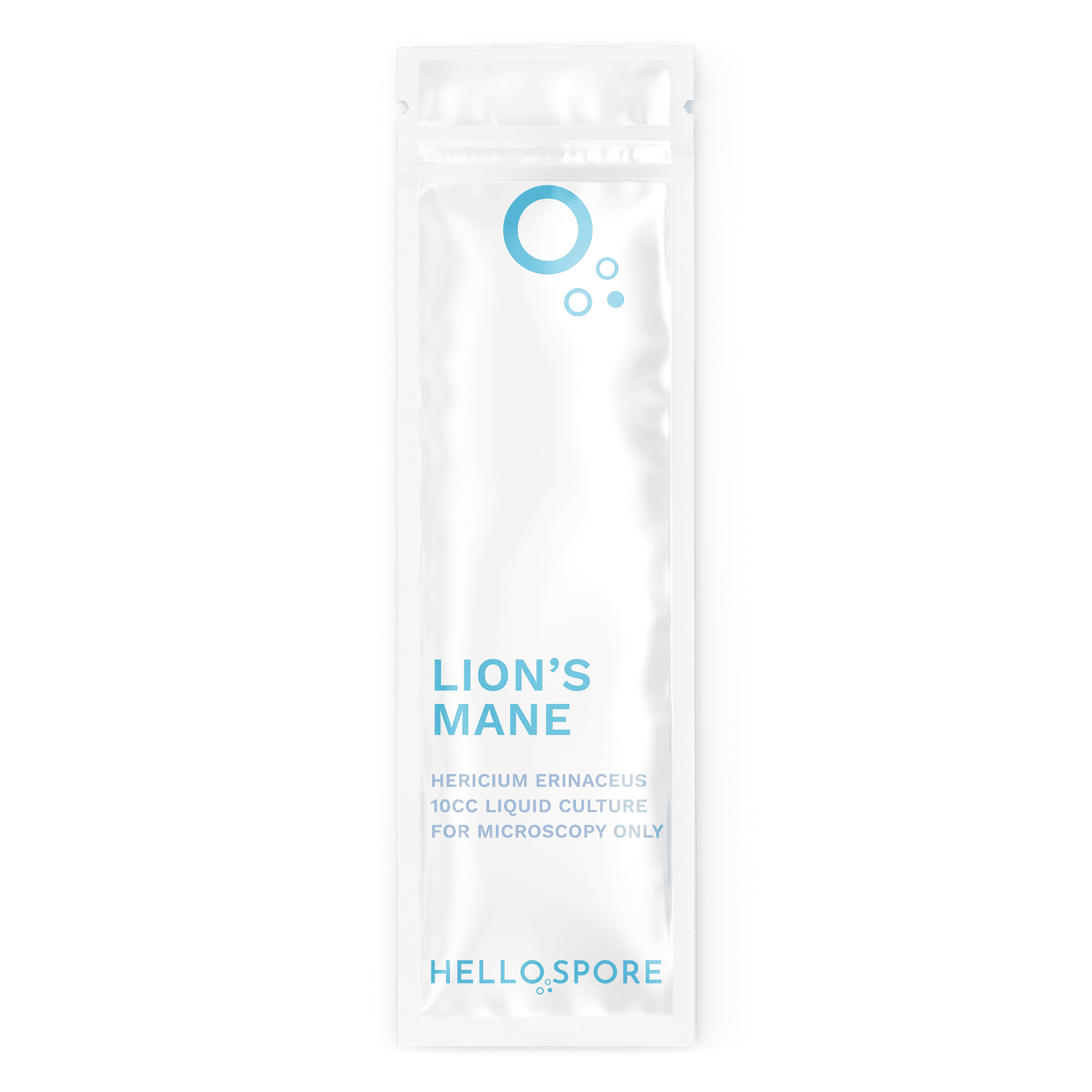 Lion's Mane 3