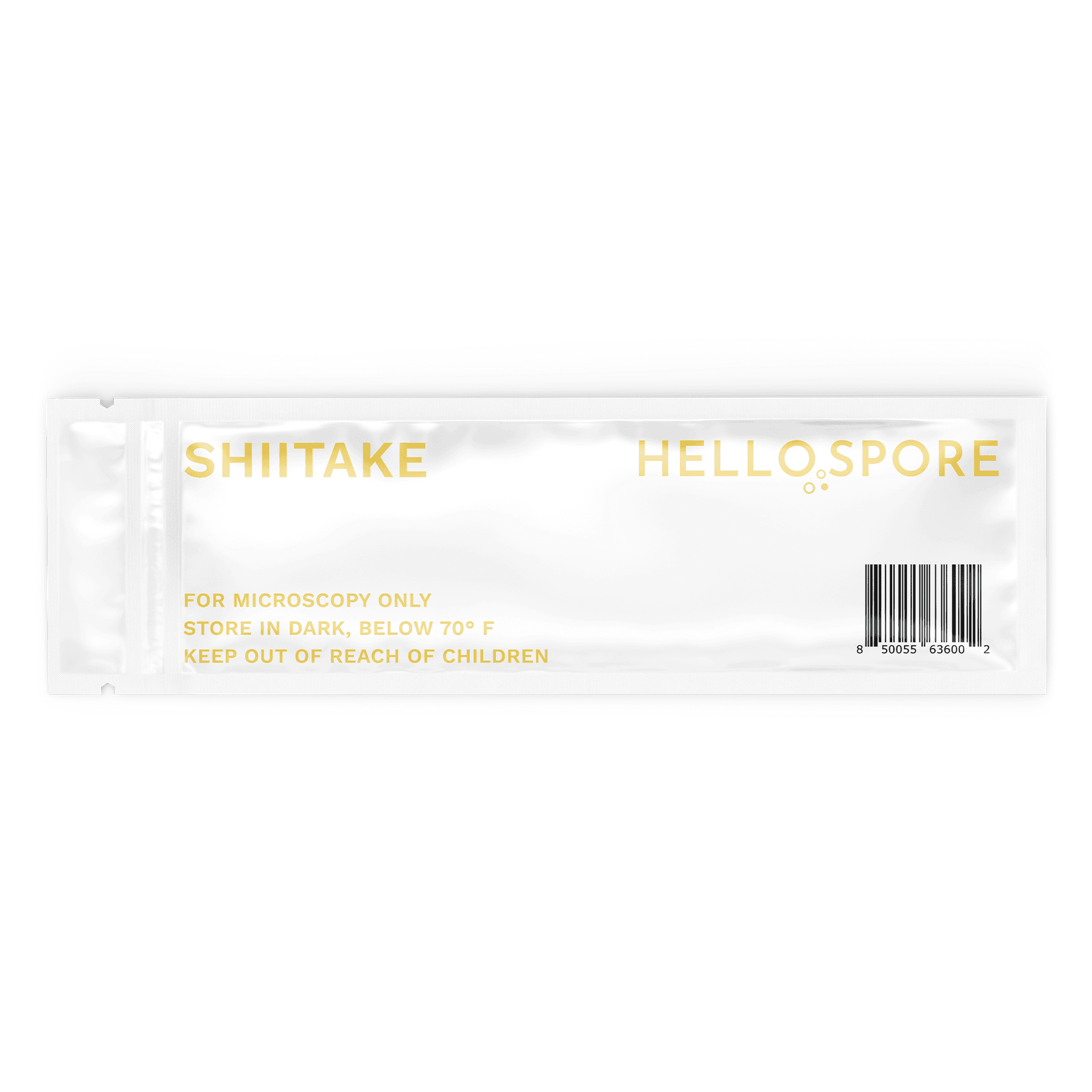 Shiitake 4