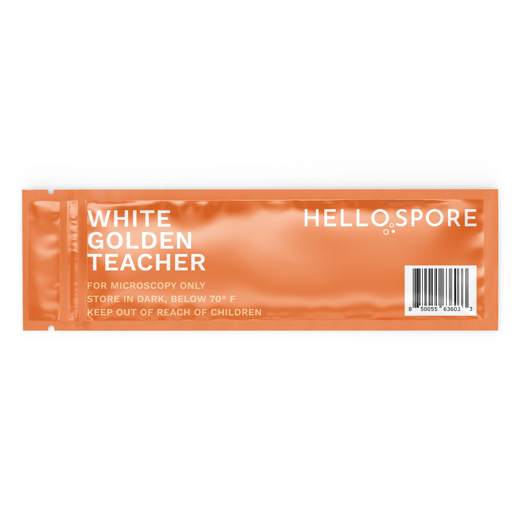 White Golden Teacher 4