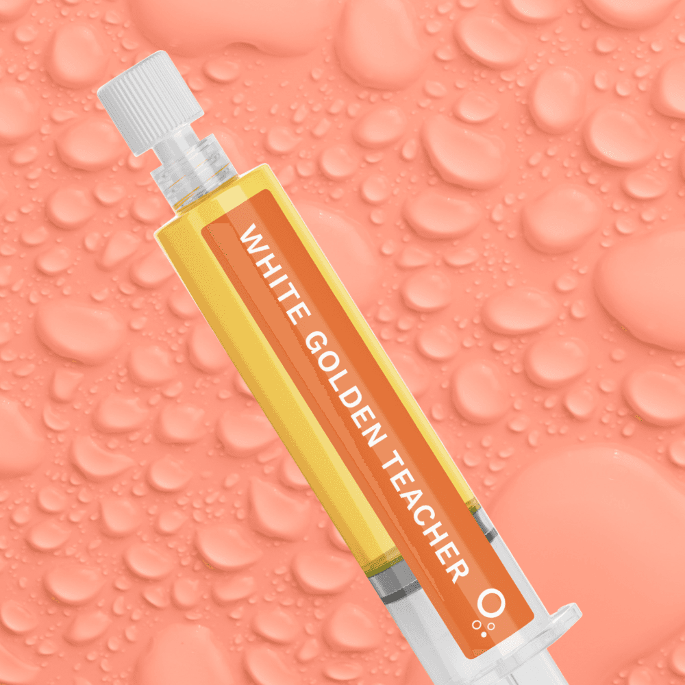 White Golden Teacher 5