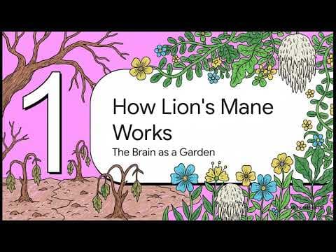 Lion's Mane & Depression: What the Research Actually Shows