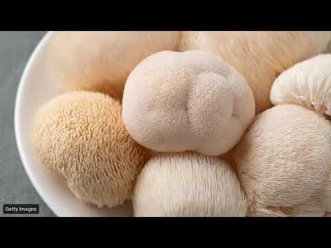 Functional Mushrooms: Bioactive Compounds, Health Benefits & Research Overview